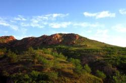 赤峰紅山區(qū)板房出租電話號碼