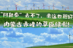 赤峰曼迪團(tuán)購(gòu)電話號(hào)碼查詢