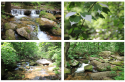 赤峰市鶴鹿溝社區(qū)電話號碼