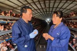 赤峰市蛋雞養(yǎng)殖戶(hù)電話(huà)號(hào)碼