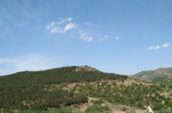 赤峰市敖漢旗中醫(yī)院電話號碼