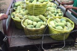 烏海到赤峰拉煤的車(chē)電話(huà)號(hào)碼