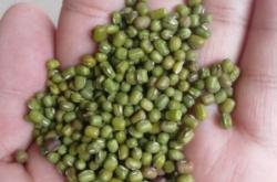 赤峰綠豆加工廠電話多少號