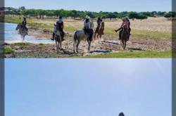 赤峰草原露營基地電話多少號