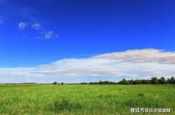 赤峰緣逸農莊電話號碼查詢是多少