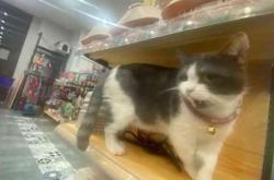 赤峰市孵化寵物店電話號(hào)碼