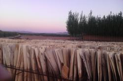 赤峰市滲碳廠家電話地址查詢