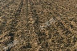 赤峰種植土廠家電話號碼查詢