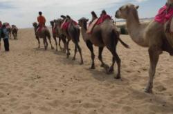 赤峰旗縣滴滴車電話號碼是多少