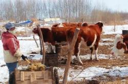 赤峰今日頭條賣家電話號碼