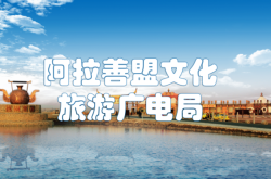 赤峰智能化網(wǎng)絡(luò)推廣電話號(hào)碼