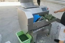 赤峰韭菜切丁機(jī)廠家電話號(hào)碼