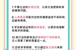 赤峰附近邊牧狗舍電話地址是多少