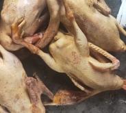 赤峰大鵝蹦迪地址電話號(hào)碼查詢