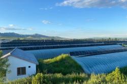 赤峰葫蘆峪采摘園電話多少號