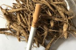 赤峰小董種苗廠電話號(hào)碼查詢