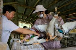 赤峰養(yǎng)鴨合作社電話號(hào)碼查詢