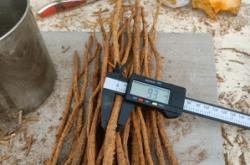 赤峰焦化硫磺廠電話多少號