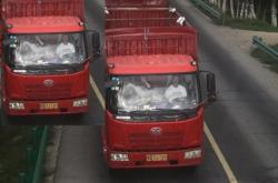 赤峰更換安全帶電話多少號