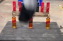 赤峰砸酒瓶解壓館電話是多少號(hào)