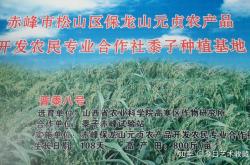 赤峰市醫(yī)保停保辦理電話號碼