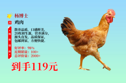 赤峰冷藏小公雞批發(fā)電話地址