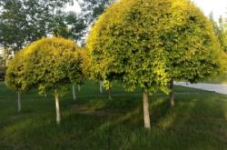 赤峰市永業(yè)廣場(chǎng)大廈電話號(hào)碼