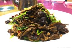 赤峰植物生態(tài)園電話多少號(hào)