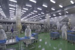 赤峰平莊楊木加工廠電話號碼