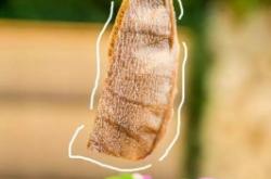 赤峰伊鼎鮮火鍋店電話號碼