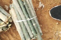 赤峰楊臣診所地址電話多少號(hào)