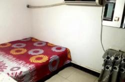 赤峰平莊賣狗的店鋪電話號(hào)碼