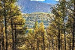 赤峰鵬超商貿(mào)有限公司電話號(hào)碼