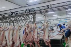 赤峰小型屠宰場電話多少號