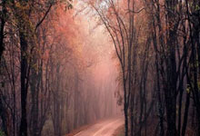 赤峰照相團(tuán)購(gòu)平臺(tái)電話號(hào)碼