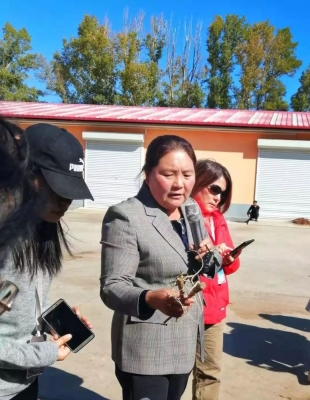 赤峰小廟村防疫電話號碼是多少-第1張圖片