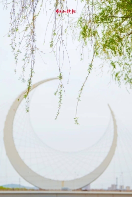 赤峰玖菲娜眉毛店電話地址查詢-第1張圖片