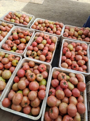 赤峰紅山水果鮮貨電話多少號(hào)-第1張圖片