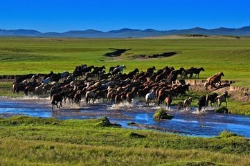 赤峰蒙中紋身店電話號(hào)碼多少-第1張圖片