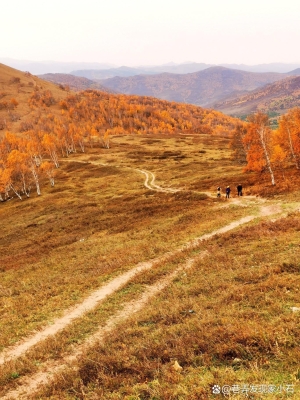 赤峰阿亮理發(fā)店地址電話號碼-第1張圖片
