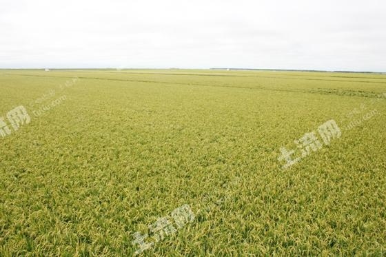 赤峰巴林右旗甜品店電話號碼-第1張圖片