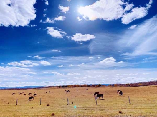 赤峰夢龍理發(fā)店地址電話號碼-第1張圖片