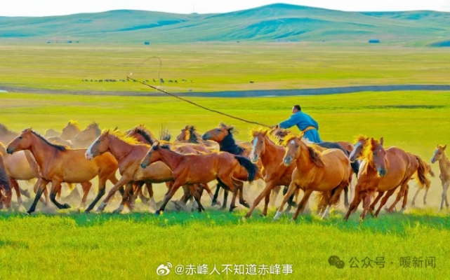 赤峰市東野發(fā)型店電話號(hào)碼-第1張圖片