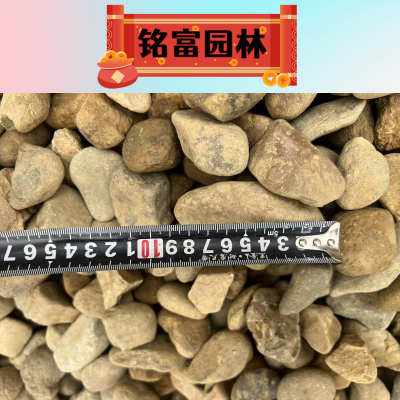 赤峰鵝卵石廠家批發(fā)電話號(hào)碼-第1張圖片