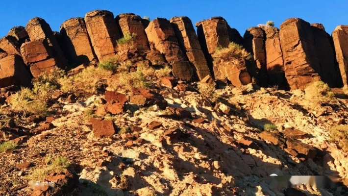 赤峰斑馬批發(fā)電話號(hào)碼多少號(hào)-第1張圖片
