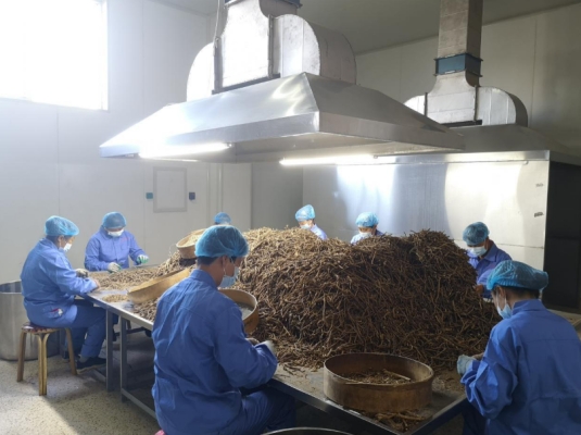 赤峰單龍藥廠電話多少啊-第1張圖片