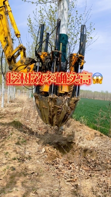 赤峰市挖樹(shù)機(jī)租賃電話(huà)號(hào)碼-第1張圖片