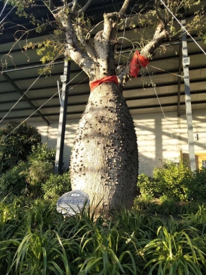 赤峰植物生態(tài)園電話號碼查詢-第1張圖片