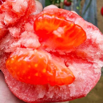 赤峰普羅旺斯番茄館電話(huà)號(hào)碼-第1張圖片