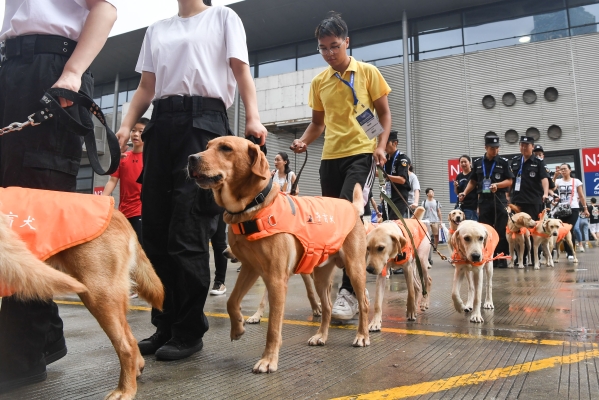 赤峰市導(dǎo)盲犬訓(xùn)練基地電話號(hào)碼-第1張圖片